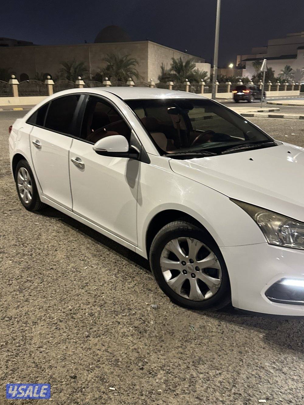 شفر كروز  ٢٠١٧3