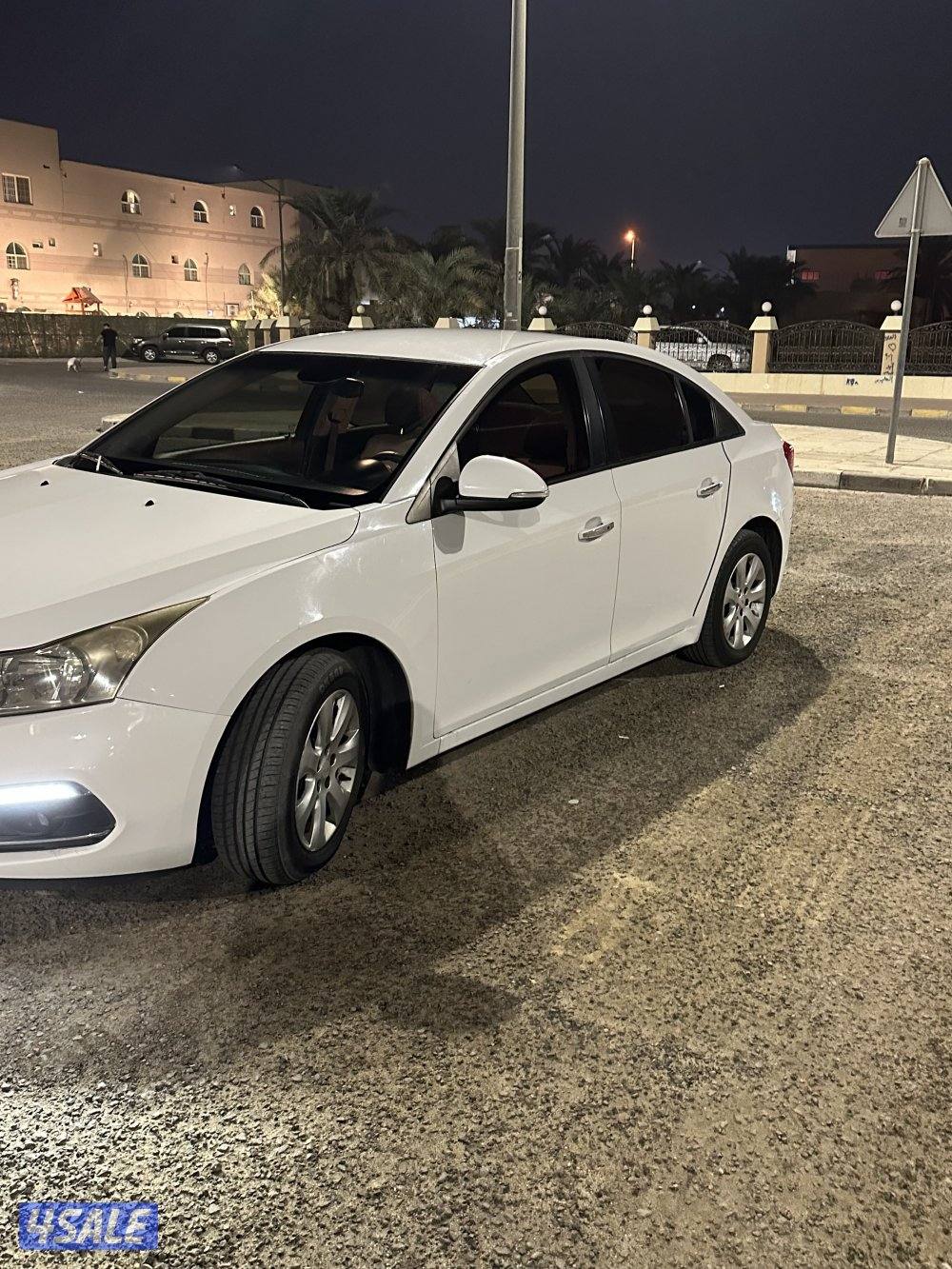 شفر كروز  ٢٠١٧5