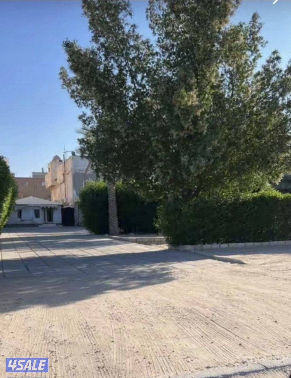 عروض الرقة3