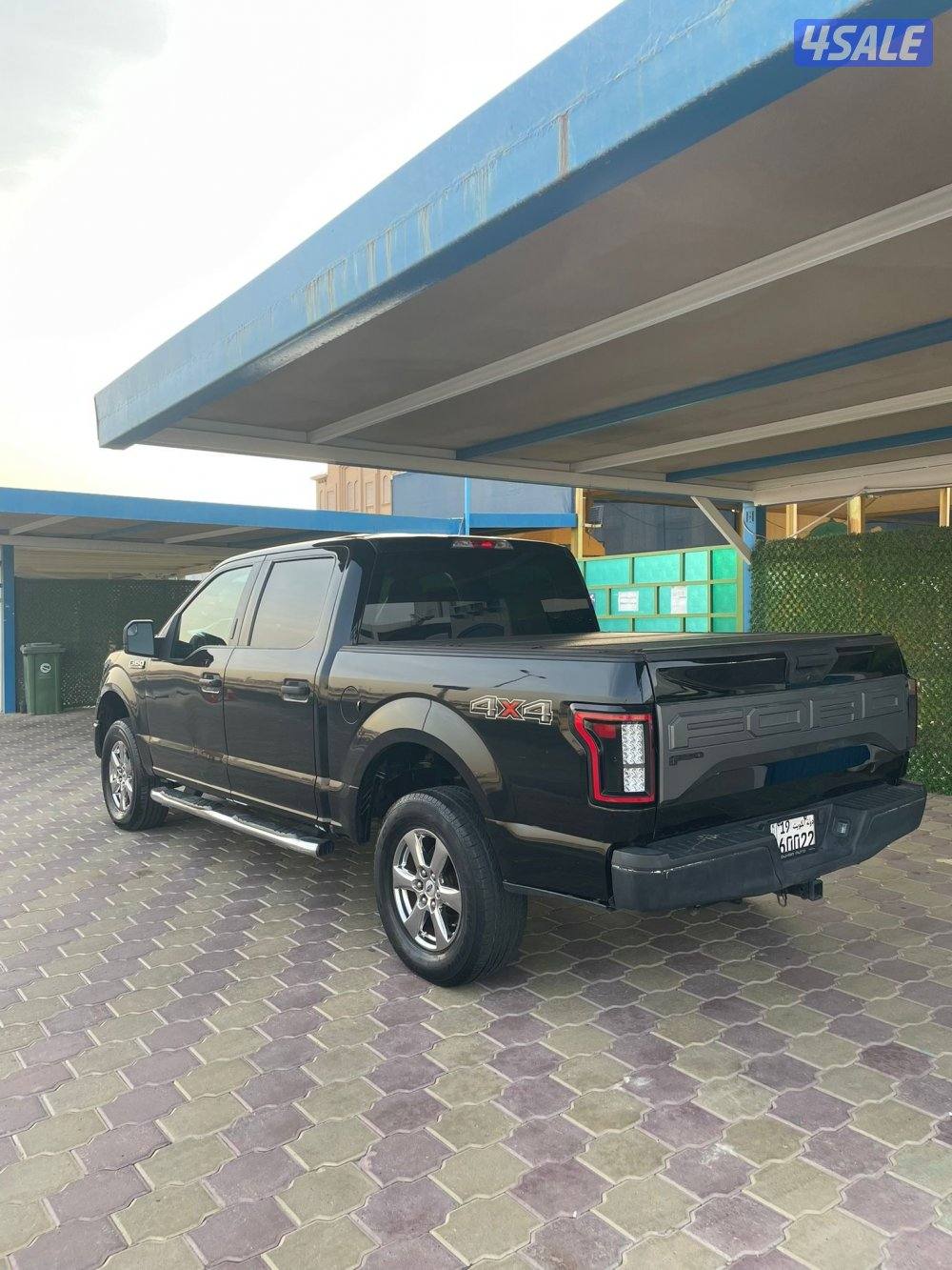 وانيت فورد2