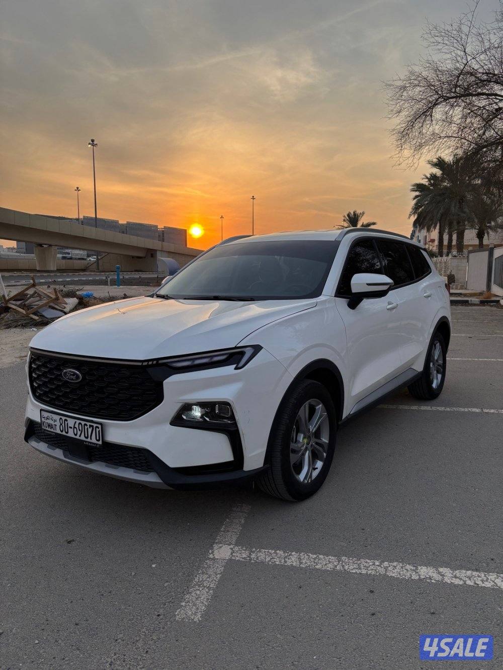 تيريتوري- 20250