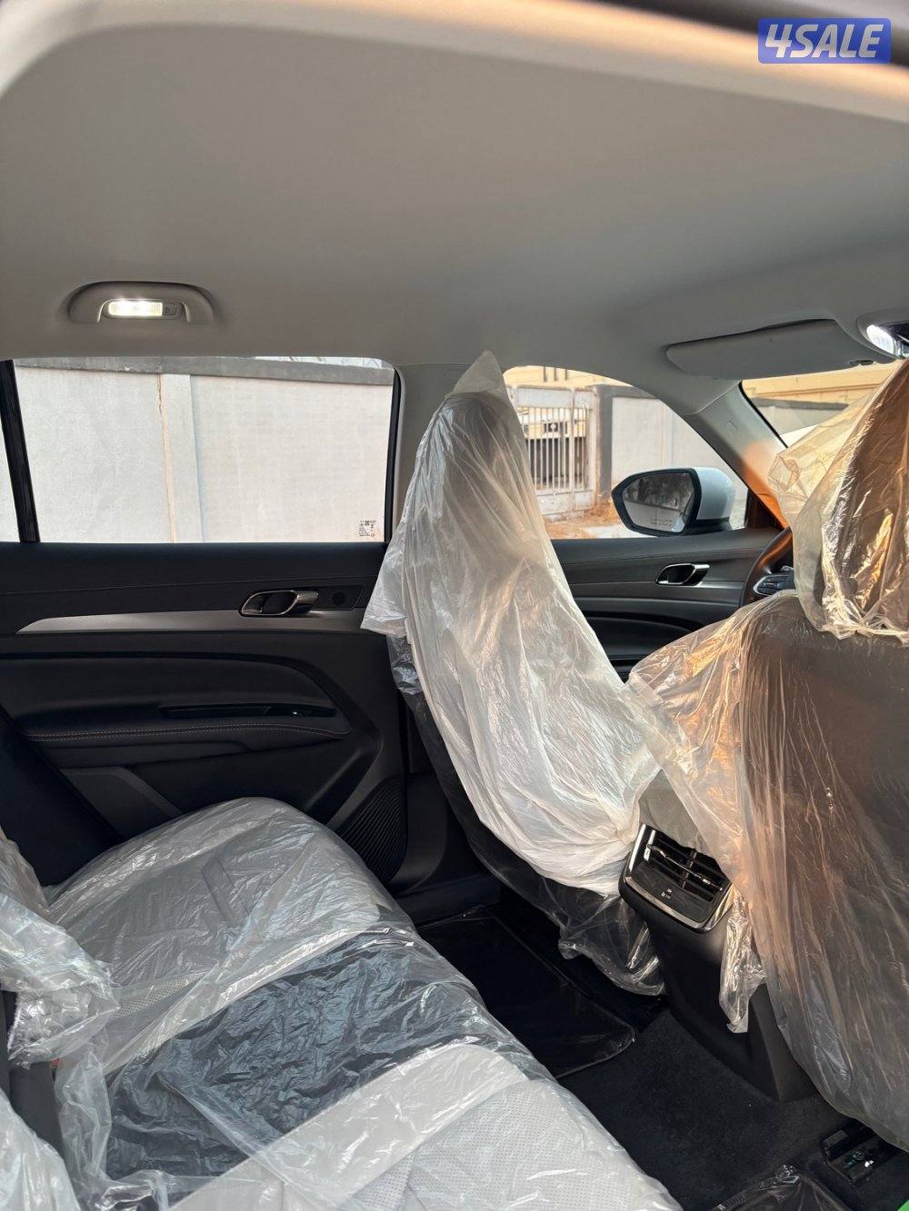 تيريتوري- 20254