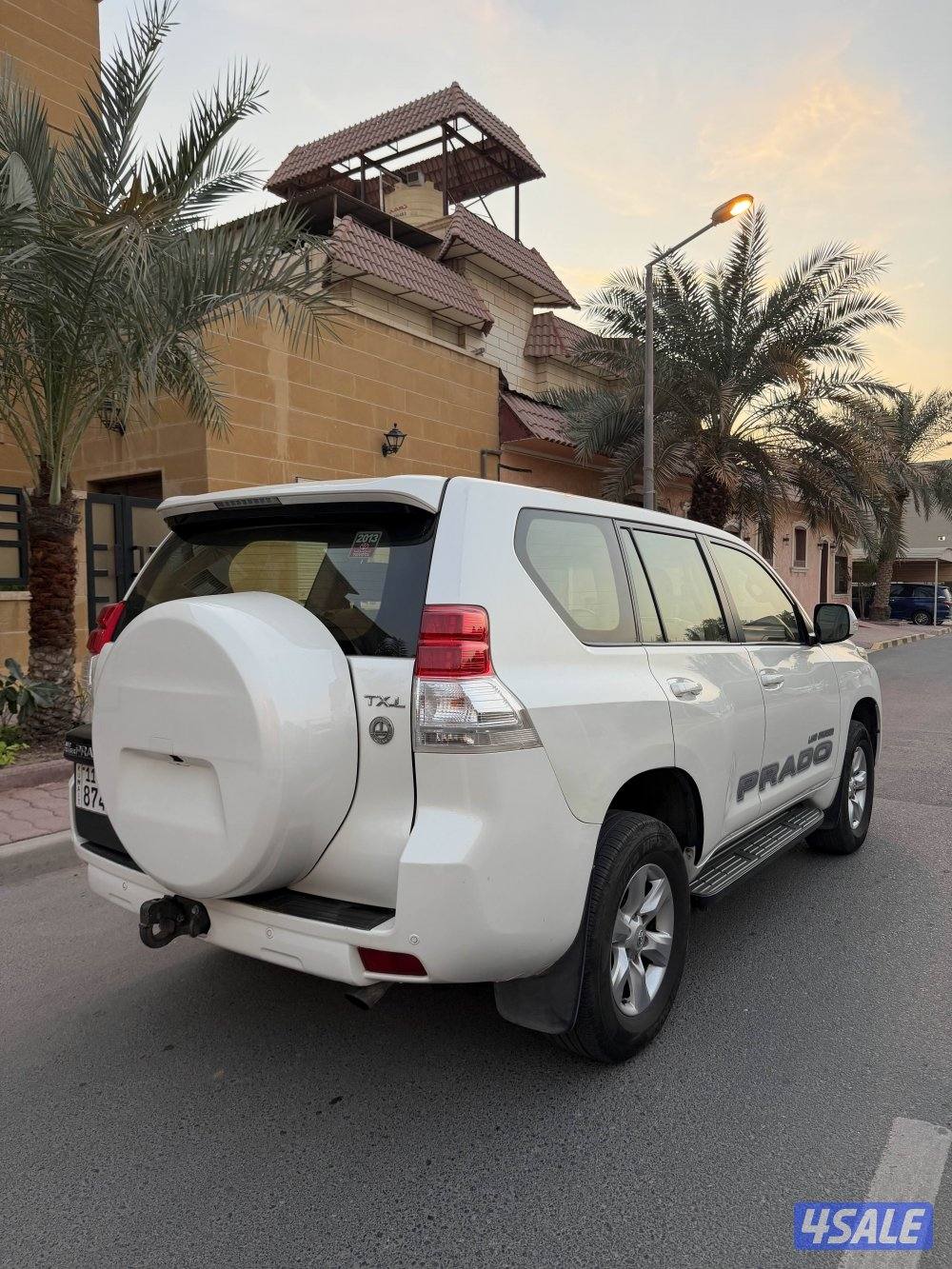 2013 صبغ وكالة TXL1