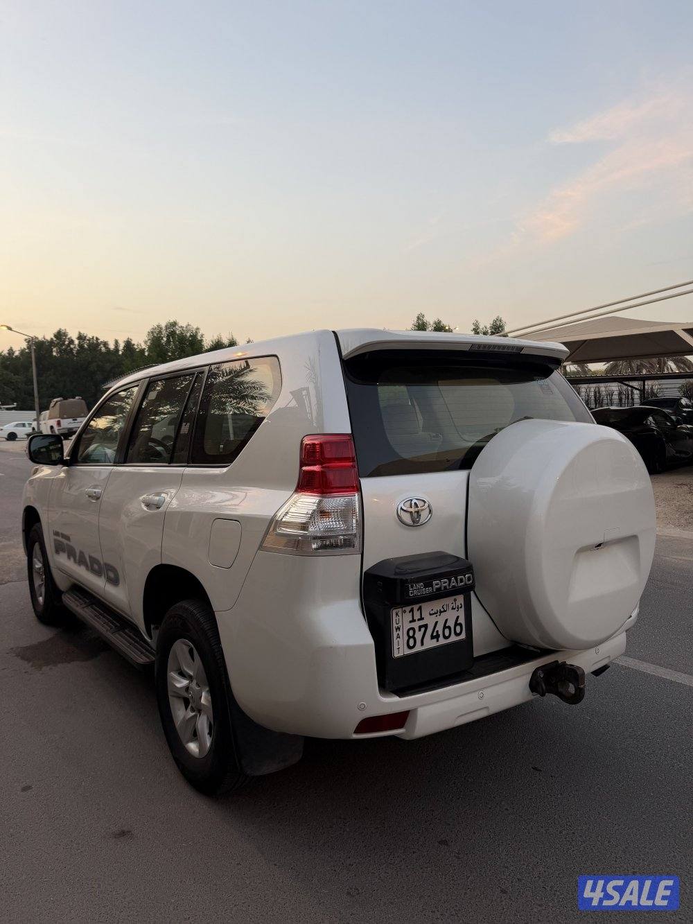 2013 صبغ وكالة TXL2