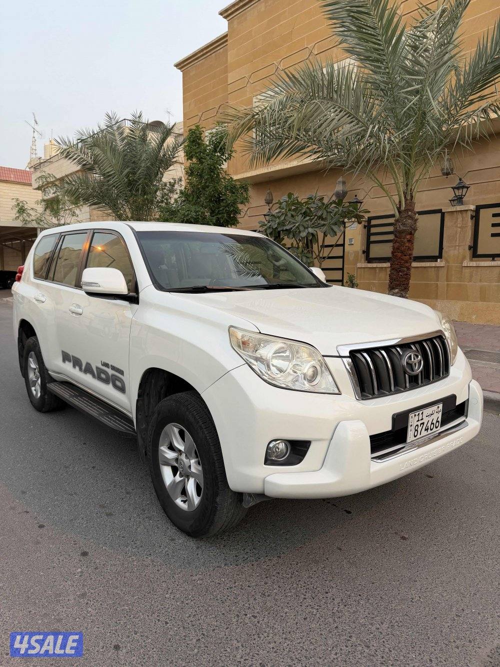 2013 صبغ وكالة TXL3