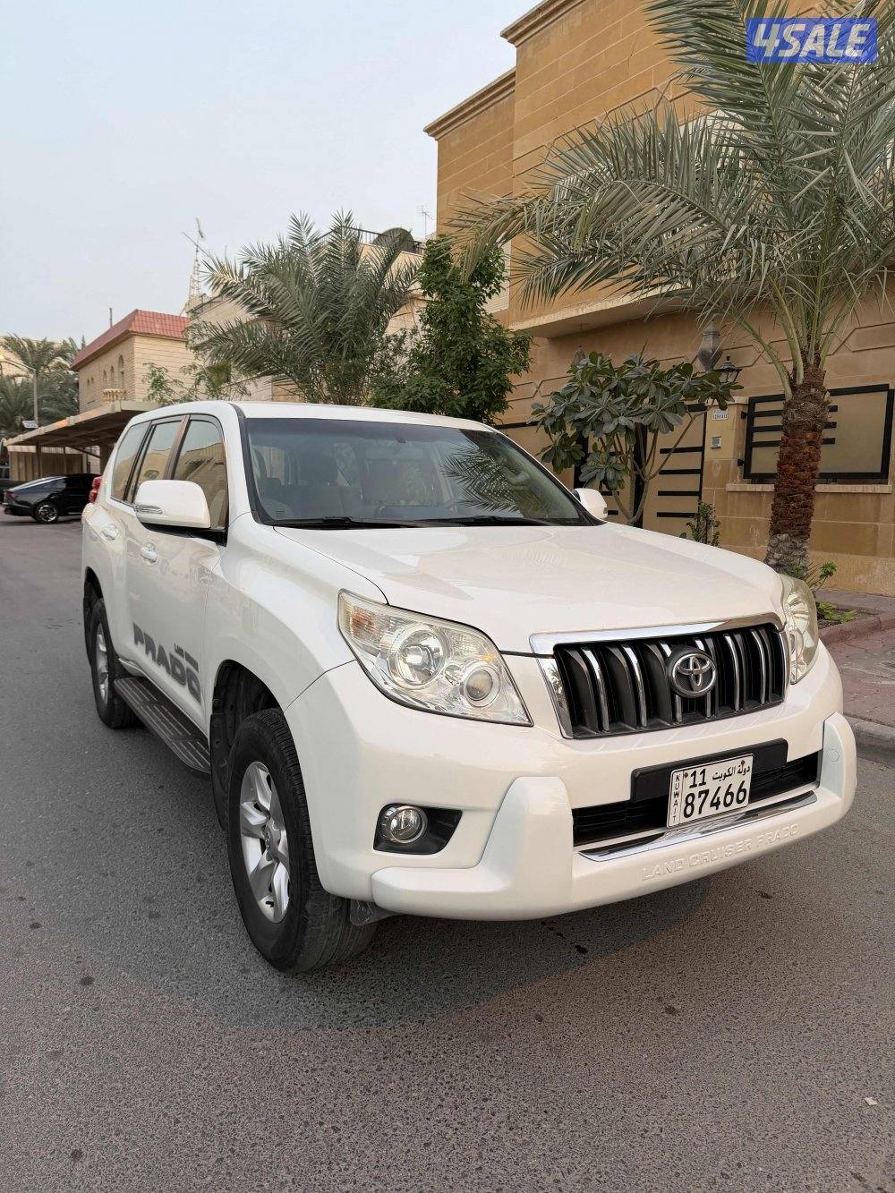 2013 صبغ وكالة TXL6