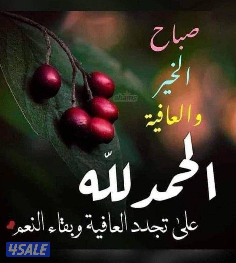 للبيع بيت شارع واحد شرق الاحمدي دورين سكن المالك قريب للسوق القديم0