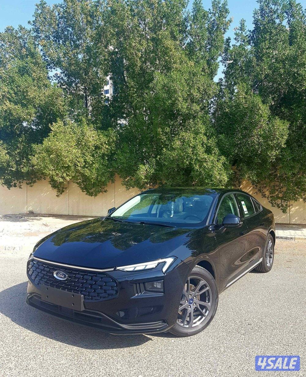 الشرق شارع خالد بن الوليد4