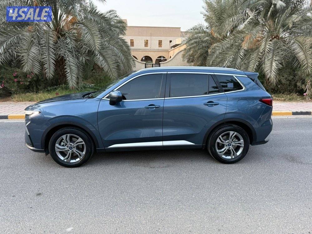 صبغ الوكاله عداد 55 تحت الكفاله1