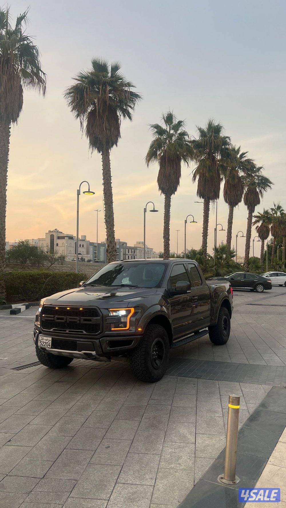 رابتر الفل وارد الغانم🎗️2