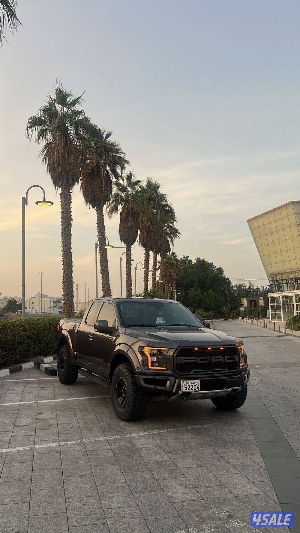 رابتر الفل وارد الغانم🎗️1