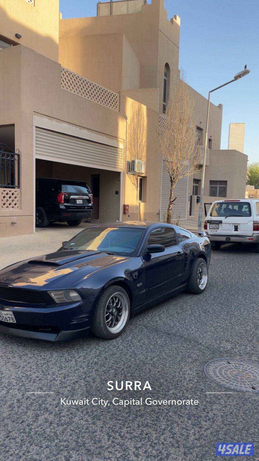 موستنق ٢٠١٠ قير عادي ٨ سلندر2