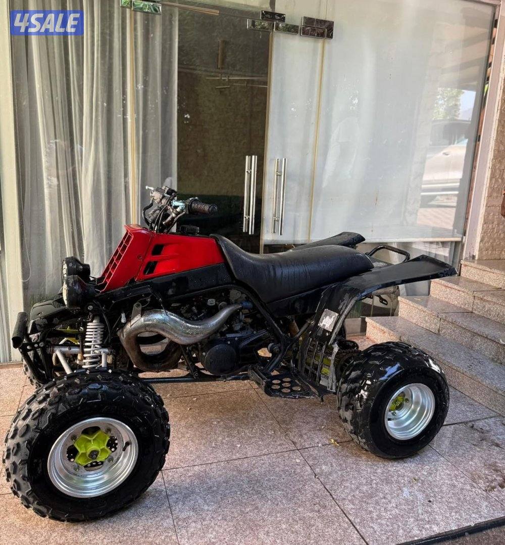 للبيع بانشي1