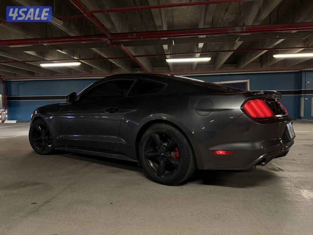 Mustang 2016 ❗️ عداد ٦٠❗️3