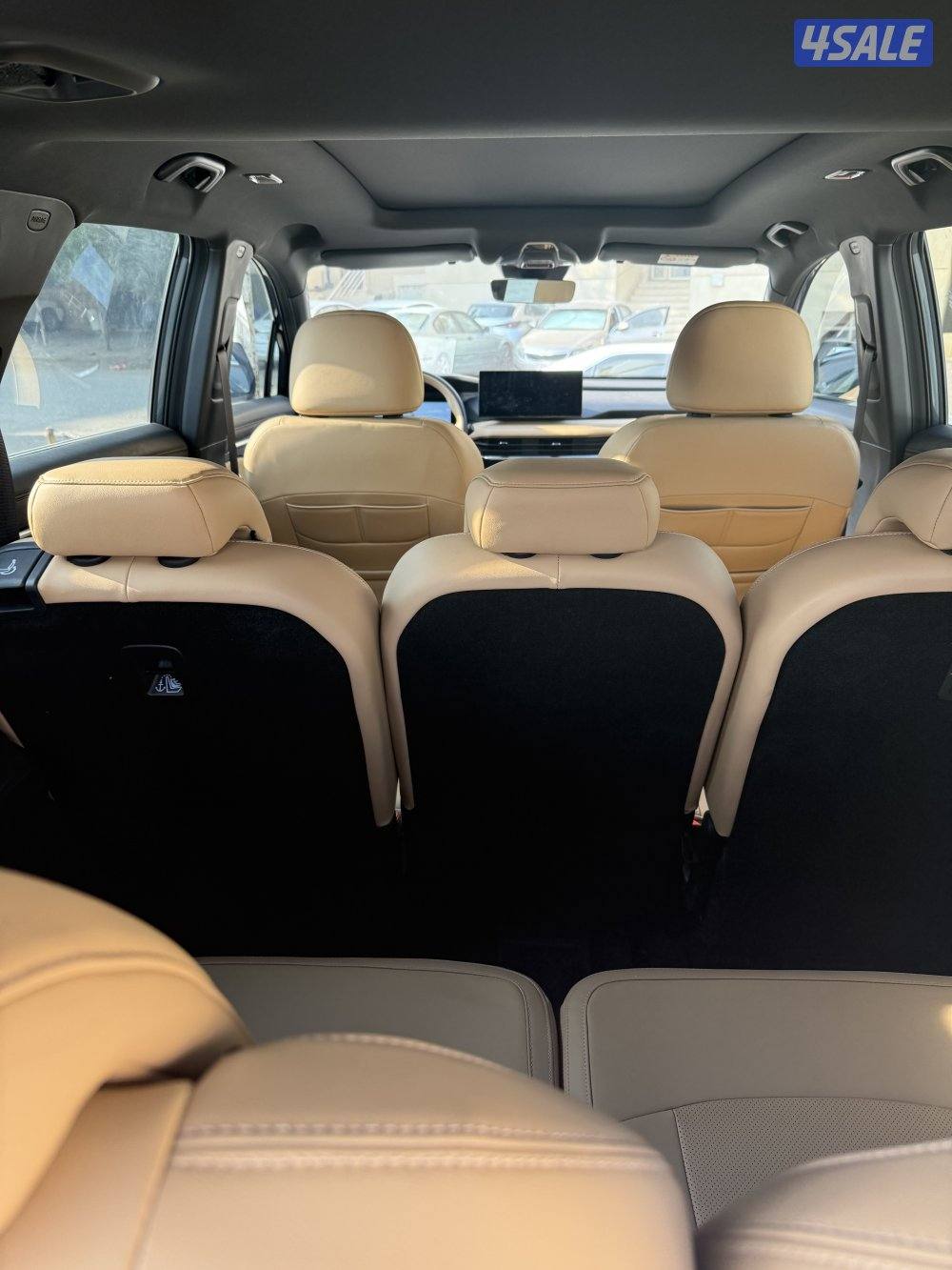 جيلي اوكفانجو3