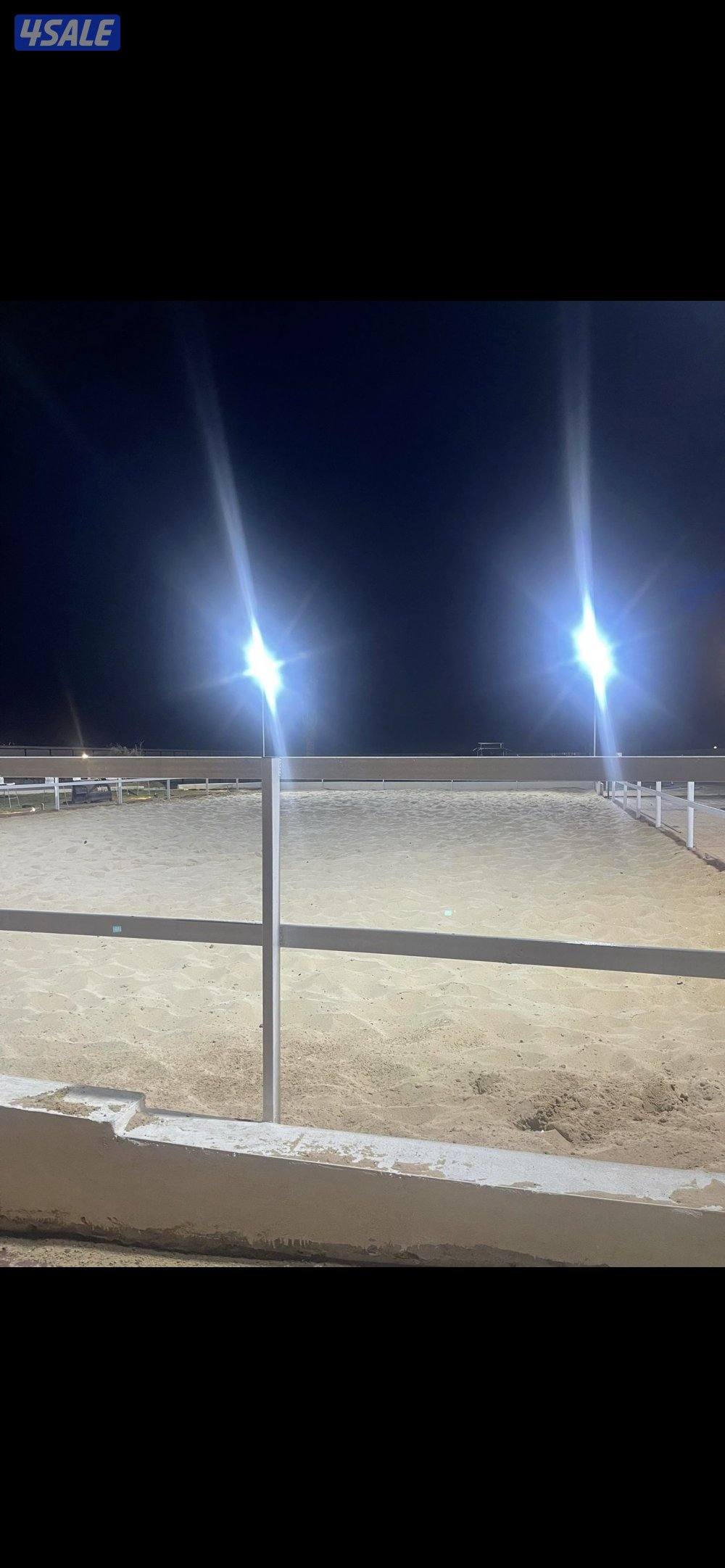 مربط نخيل المنال في الوفرة لإيواء الخيل6