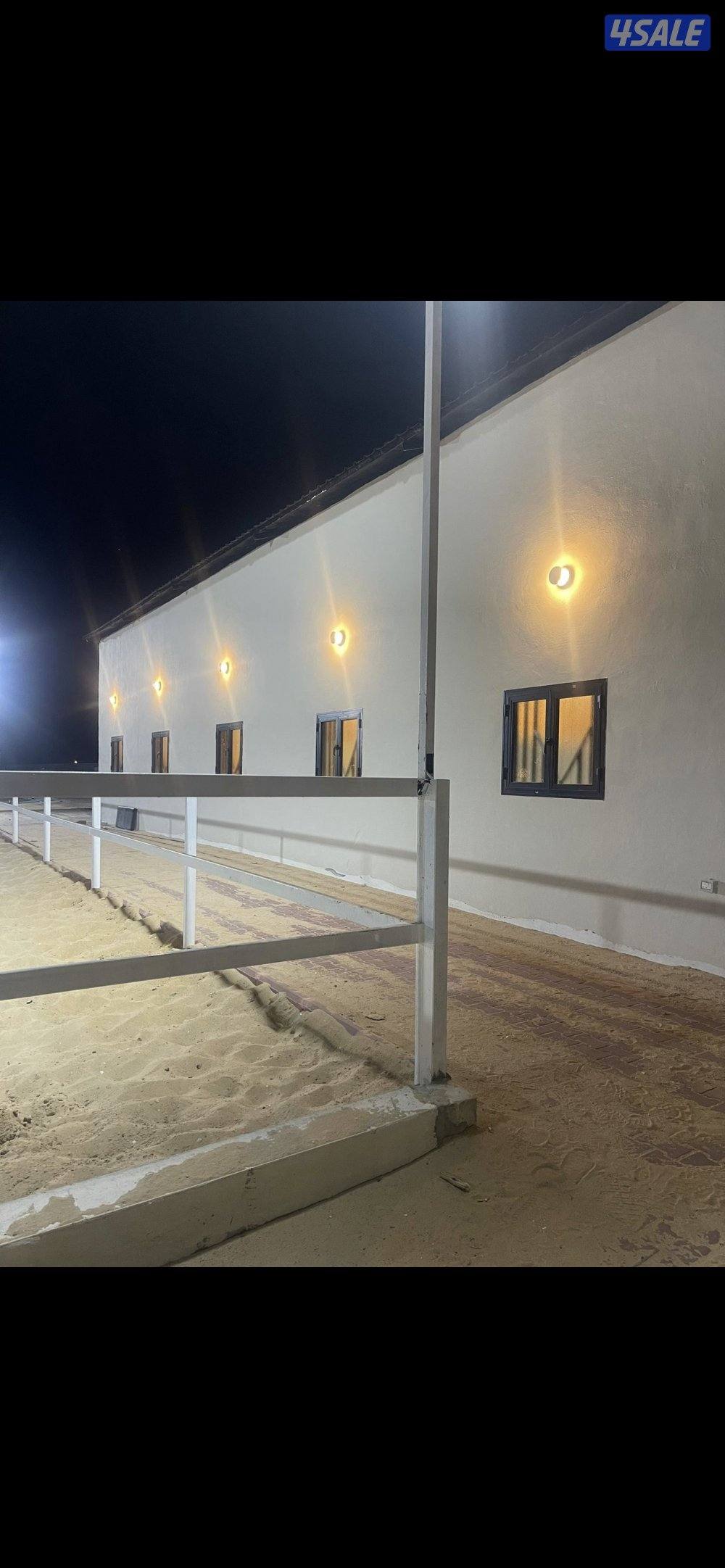 مربط نخيل المنال في الوفرة لإيواء الخيل7