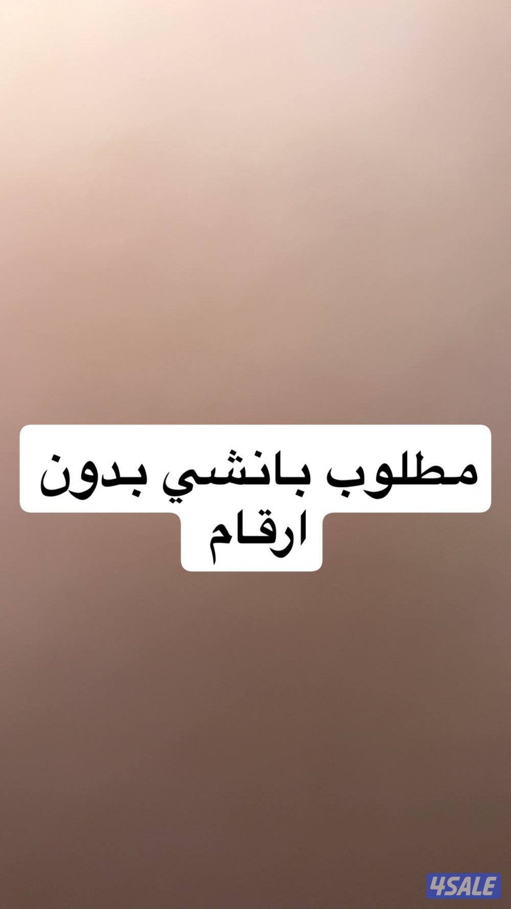 مطلوب بانشي بدون ارقام0