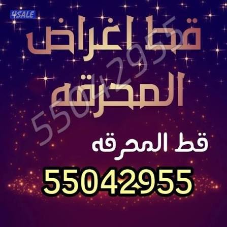 @قط@اغراض@قط@اغراض@قط@اغراض@قط@اغراض@قط@اغراض@قط@0