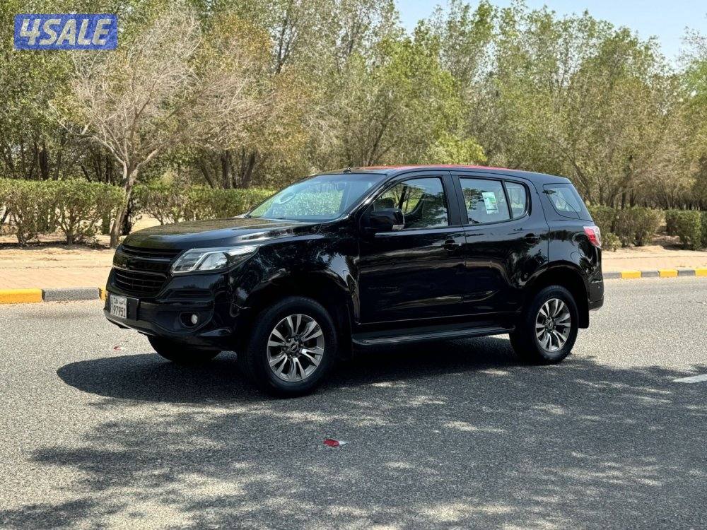 للبيع تريل بليزر 2019 TL1