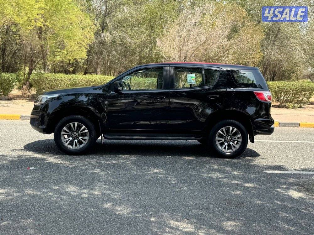 للبيع تريل بليزر 2019 TL0