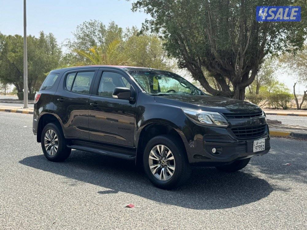 للبيع تريل بليزر 2019 TL4