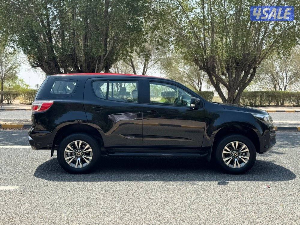 للبيع تريل بليزر 2019 TL3