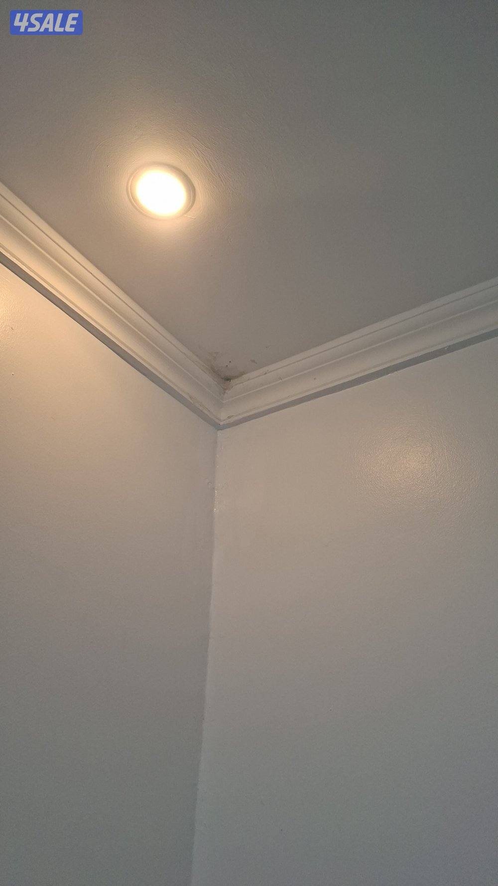 اصباغ ابورزان4