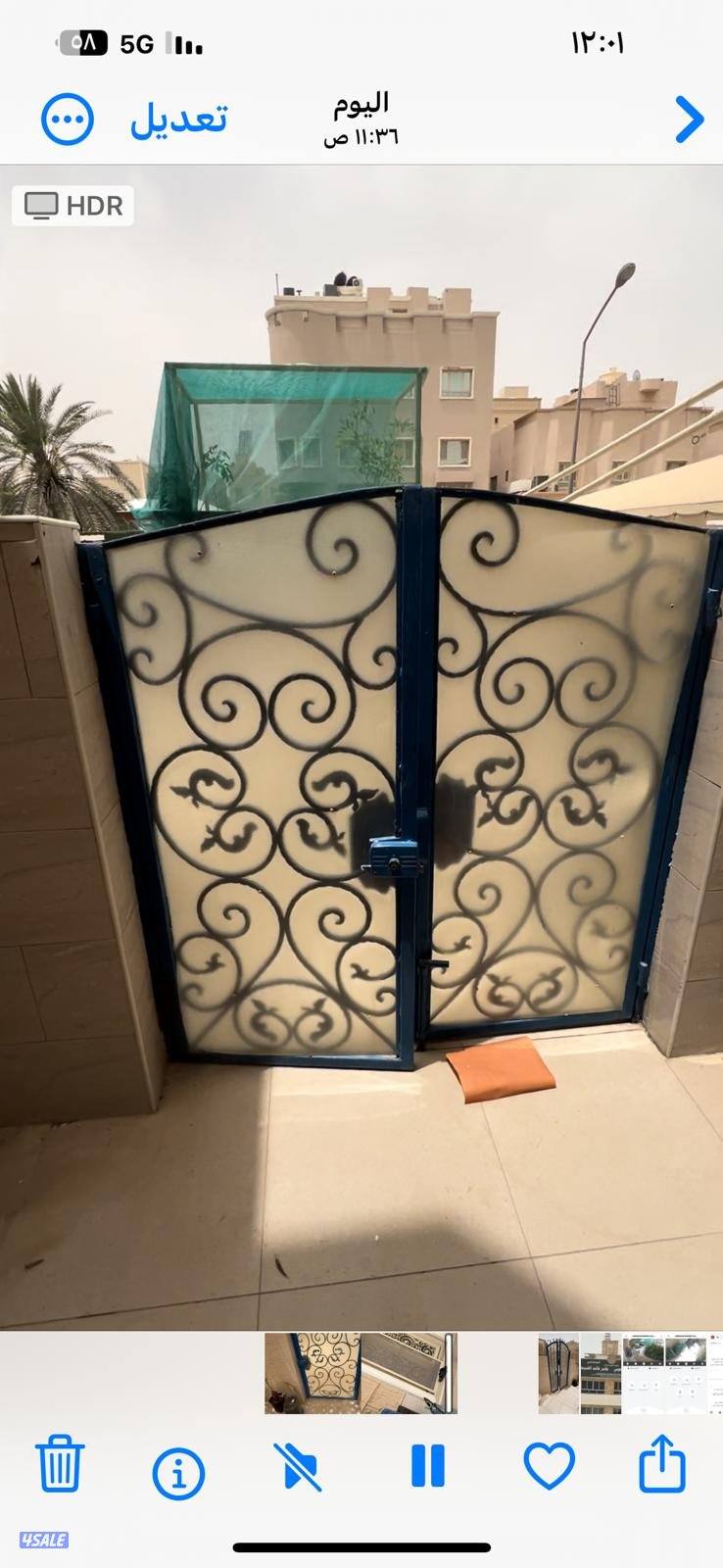 اصباغ ابورزان8