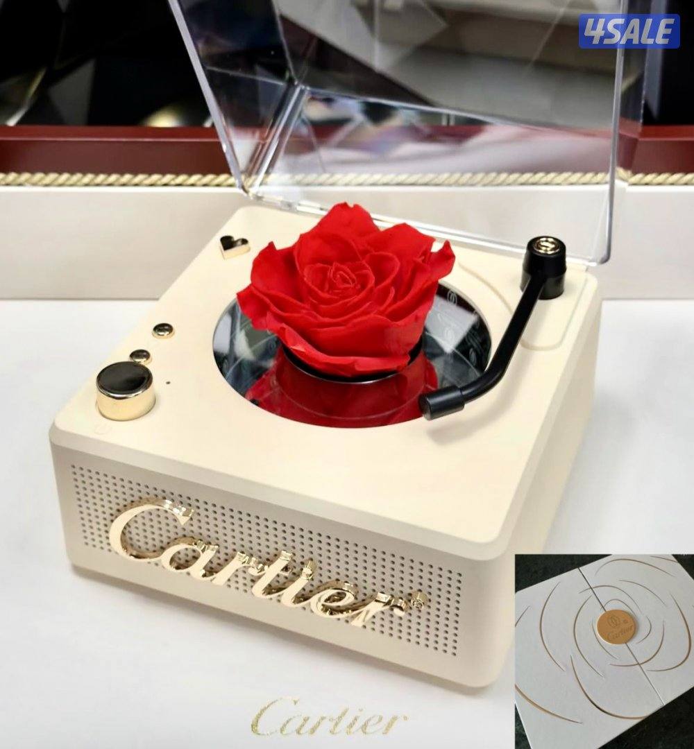 أقلام وأبواك أصليه11