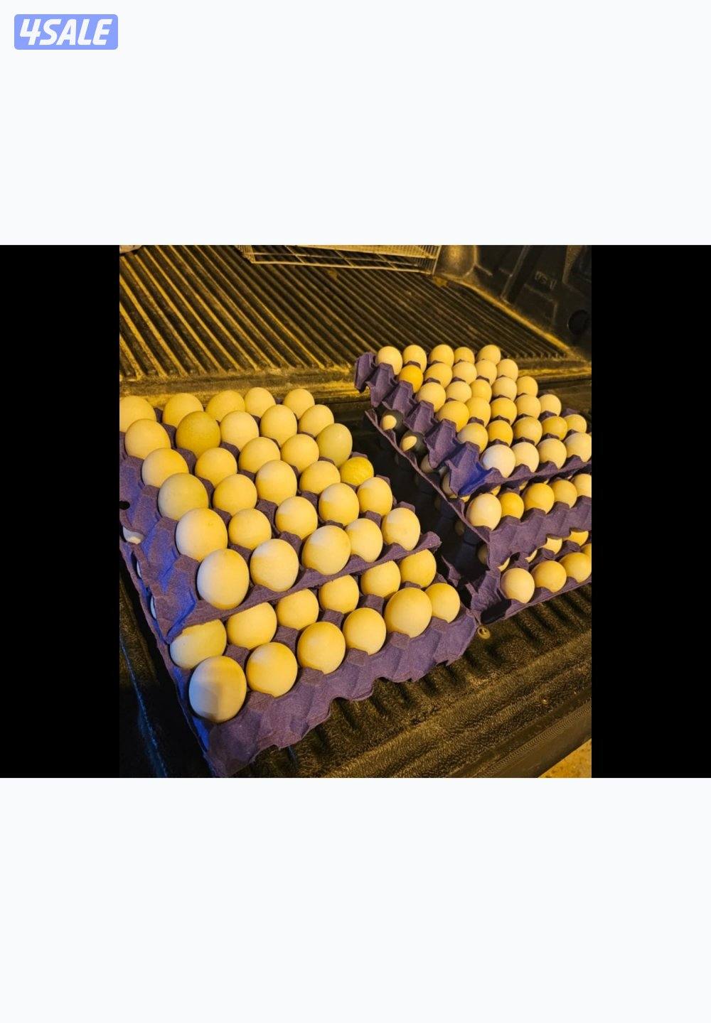 مزارع الوفره0