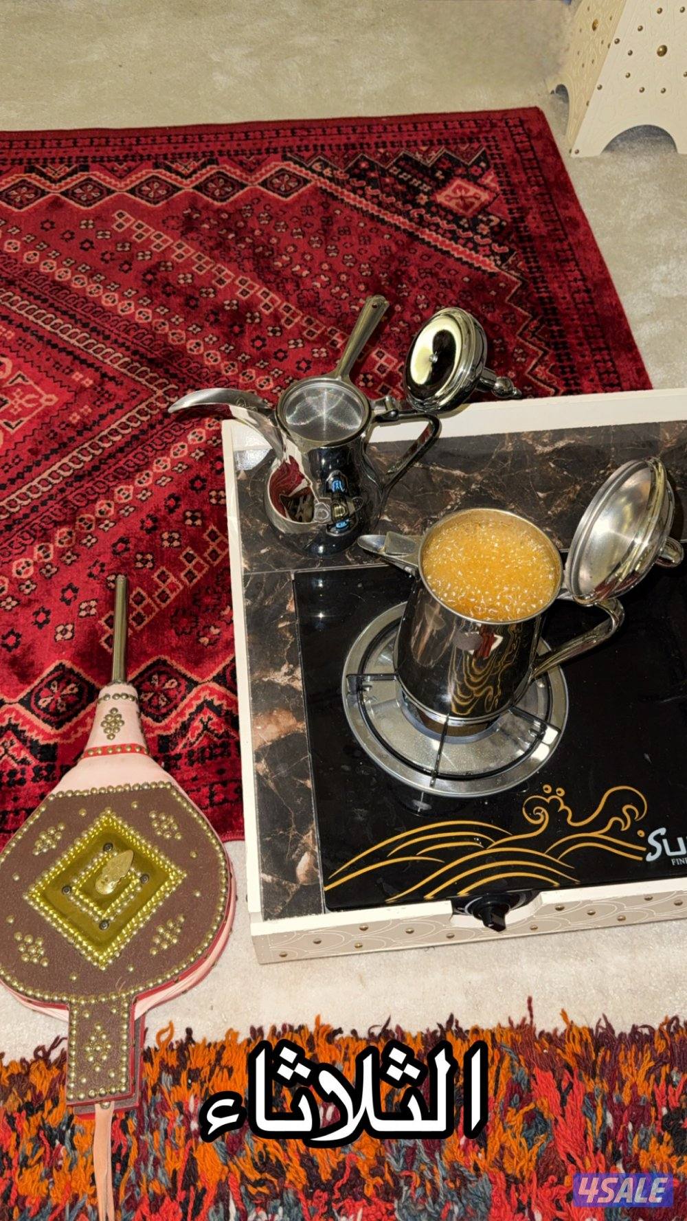 مخيم اجار يومي او موسم كامل8