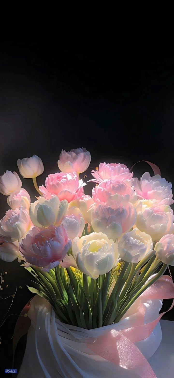 ابحث عن صاحب شر كه مقاولات عامه يبحث عن شريك ب الخبره والمجهود0