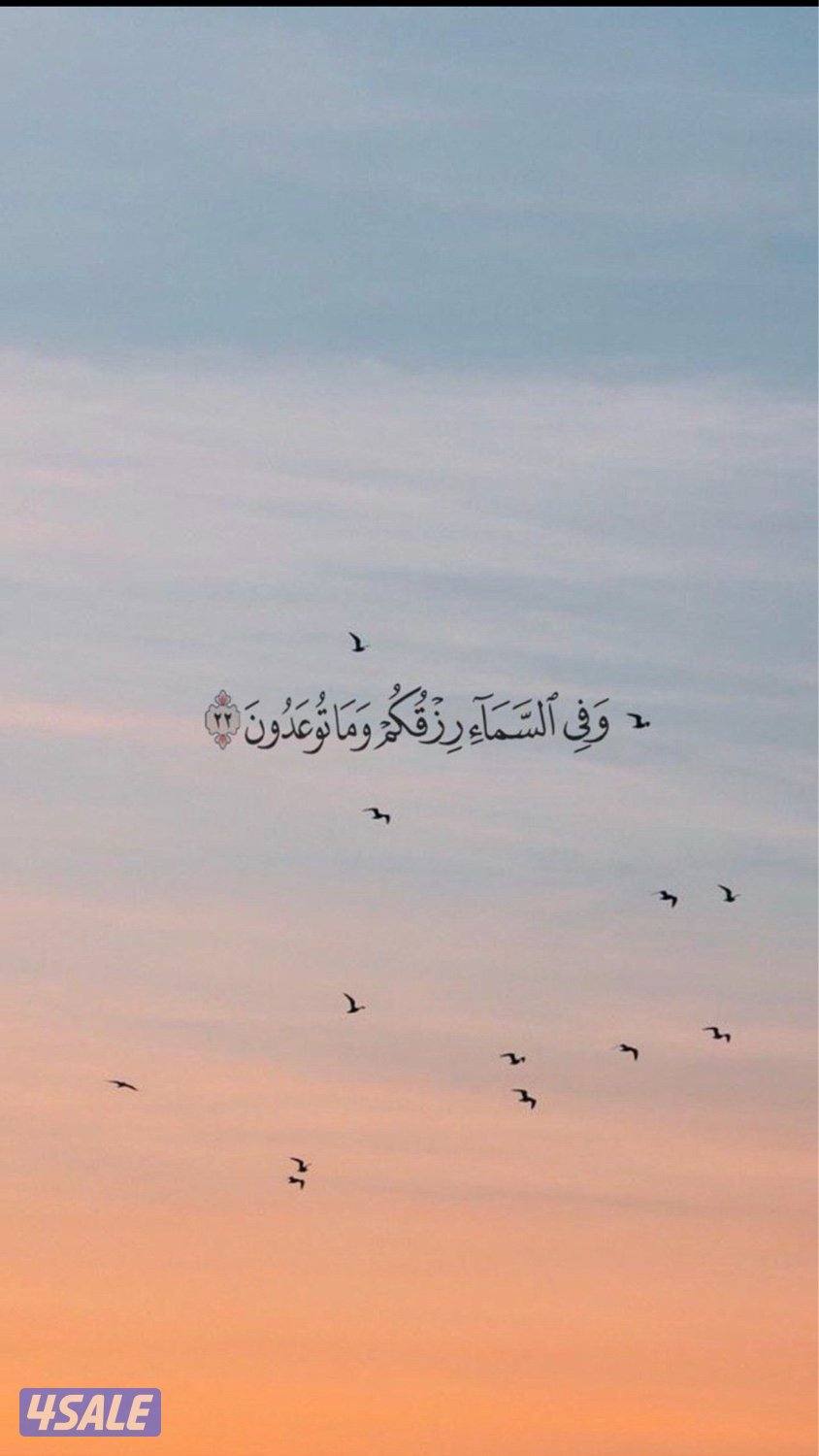 مطلوب مراقب تشطيبات خبره0