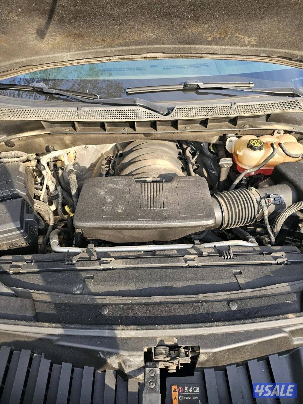 يوكن دينيلي موديل 202115