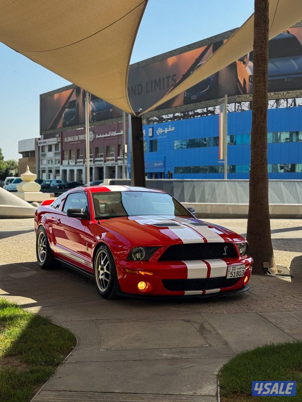 للبيع شلبي 2009 ستوك7