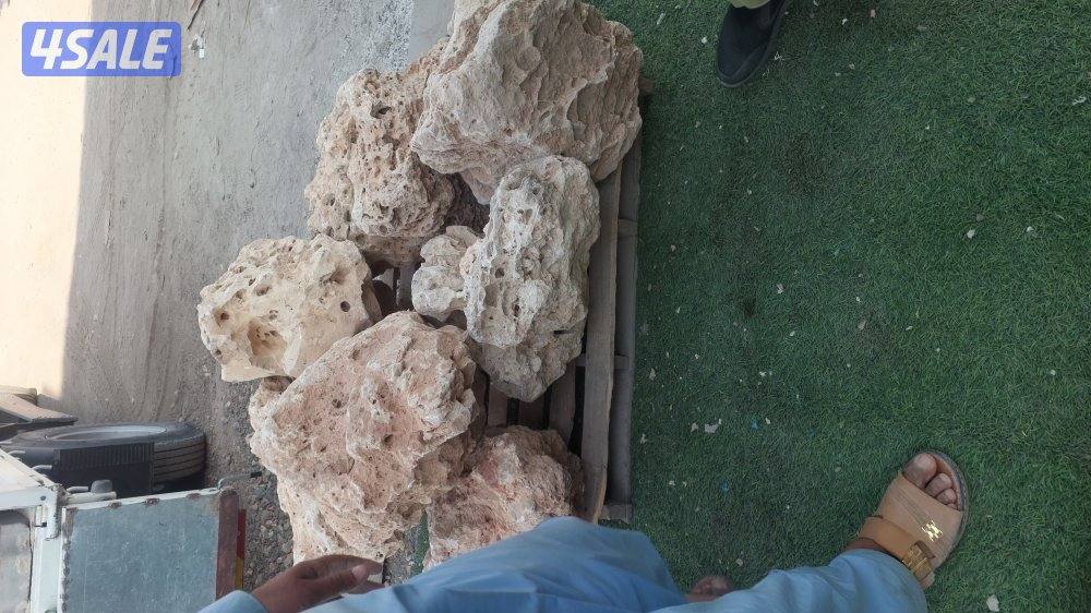 للبيع عشب صناعي بسعر جمله2