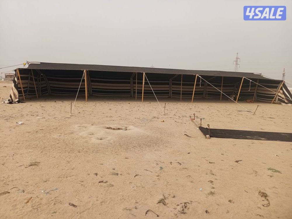 بيت شعر مروبع1