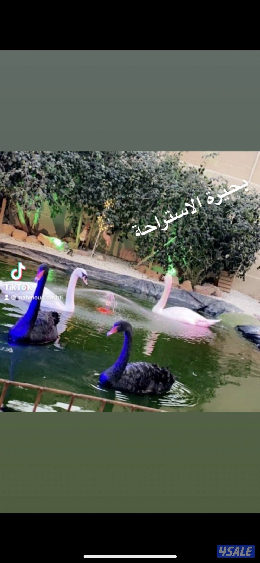 للايجار استراحة1