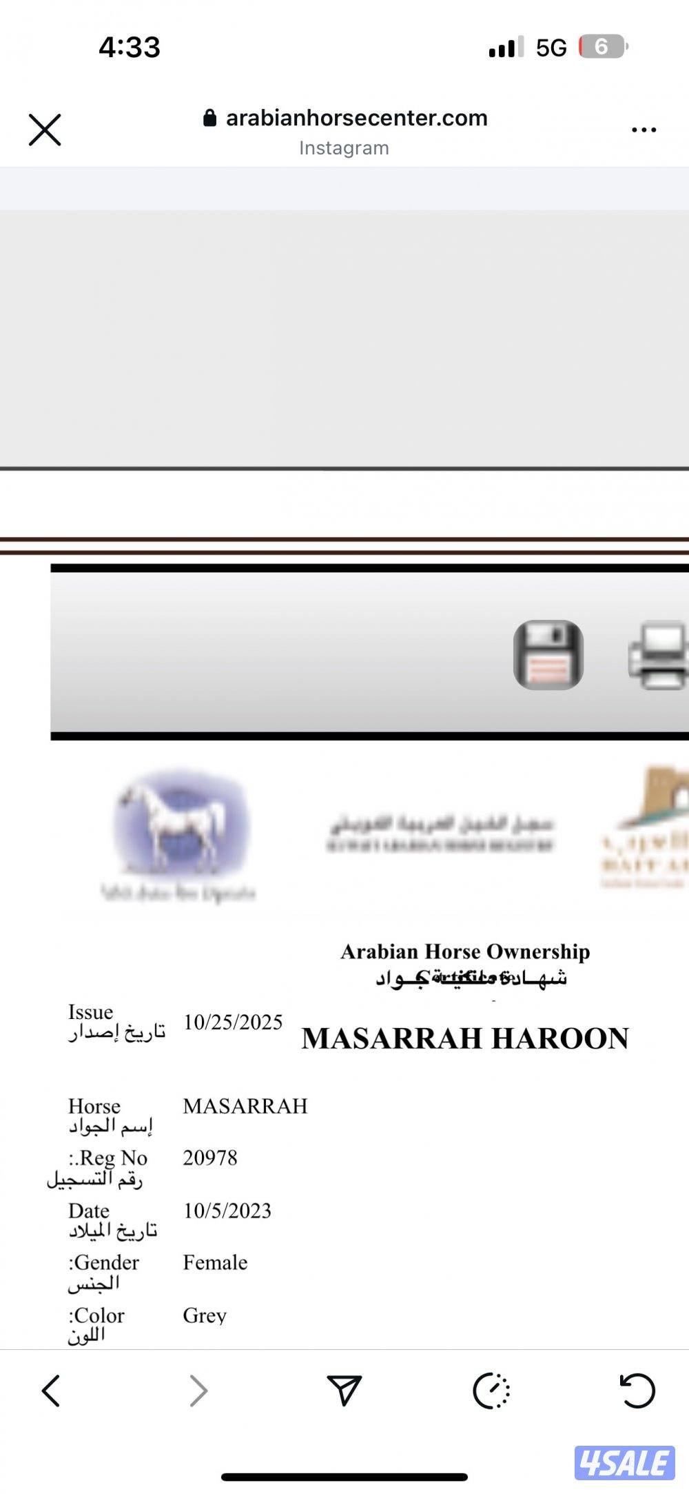 للبيع مهره مصريه4