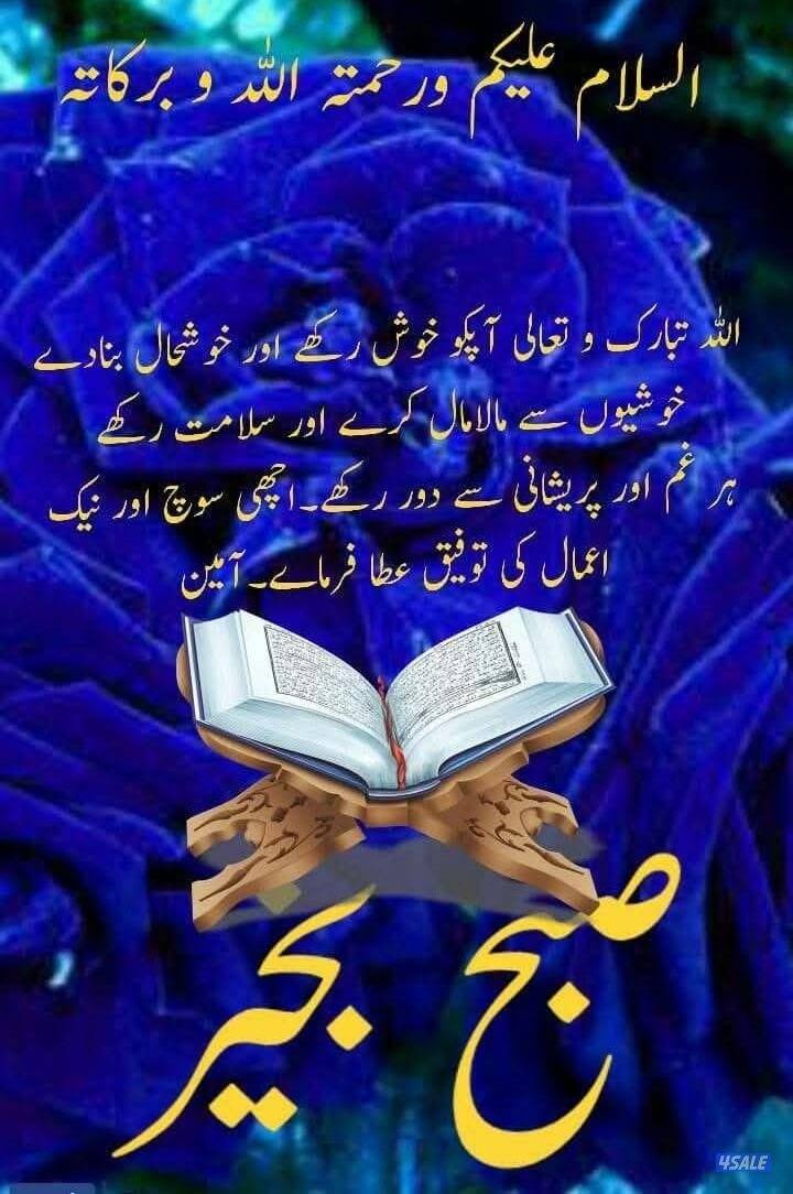 محاسب يطلب عمل0