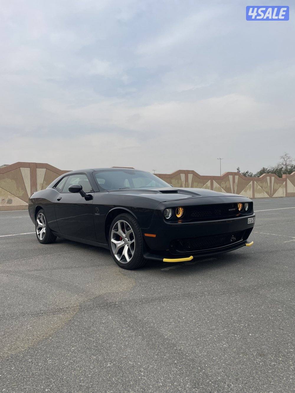 بيع فقط RT20161