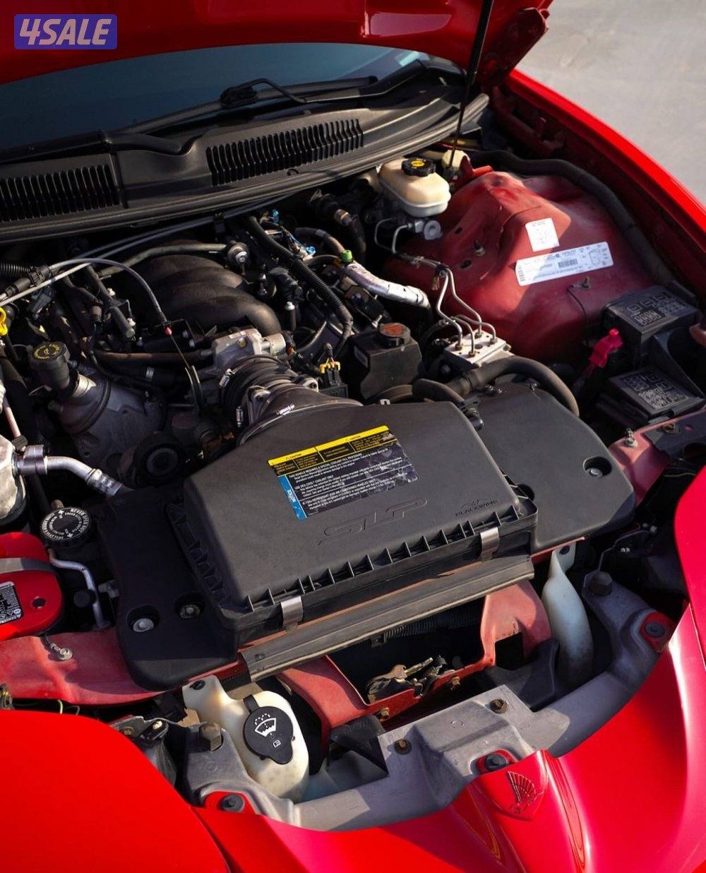 للبيع ترانز ام فايرهوك مخزن6