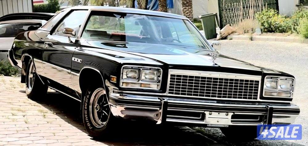 بيوك لسابر كوبيه 19760