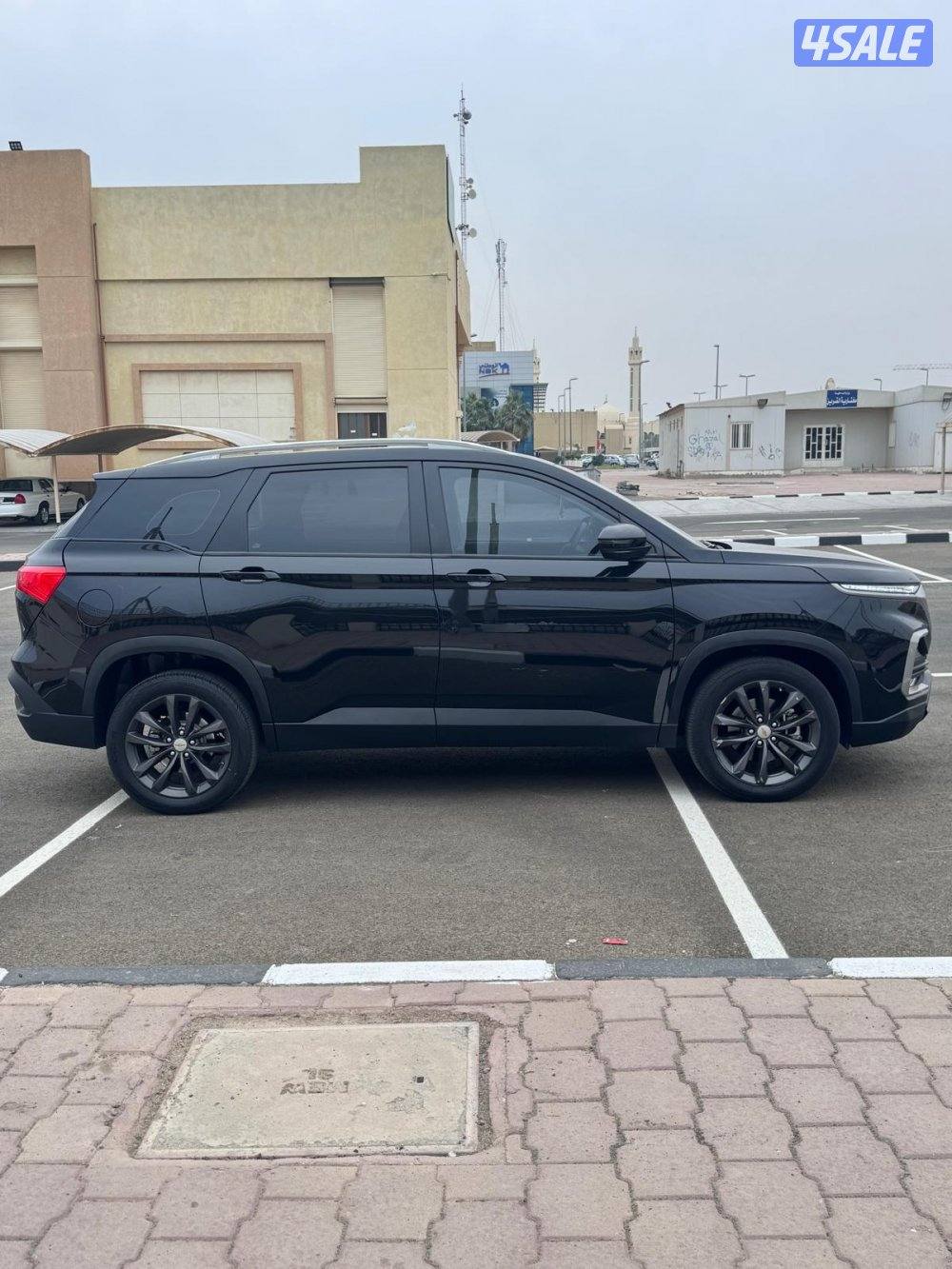 كابتيفا صبغ الوكالة بالكامل5