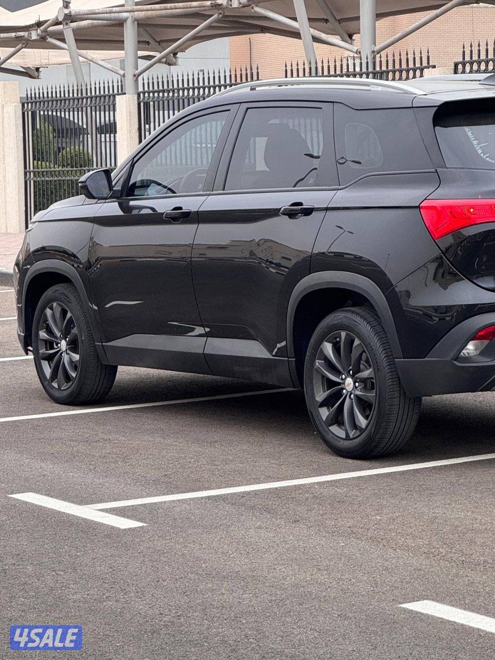 كابتيفا صبغ الوكالة بالكامل6