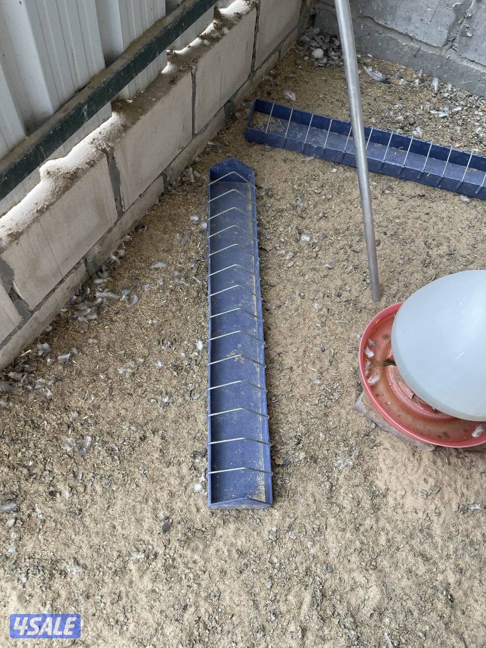 درامات صبغ مستعمله تصلح للحمام والمزارع العدد تقريبا 9000