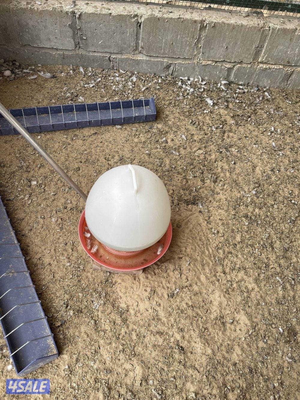 درامات صبغ مستعمله تصلح للحمام والمزارع العدد تقريبا 9001