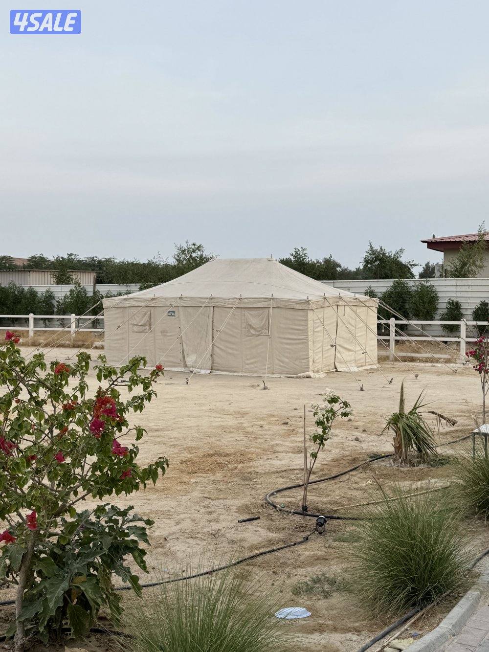 للبيع خيمه الصباح 4/61