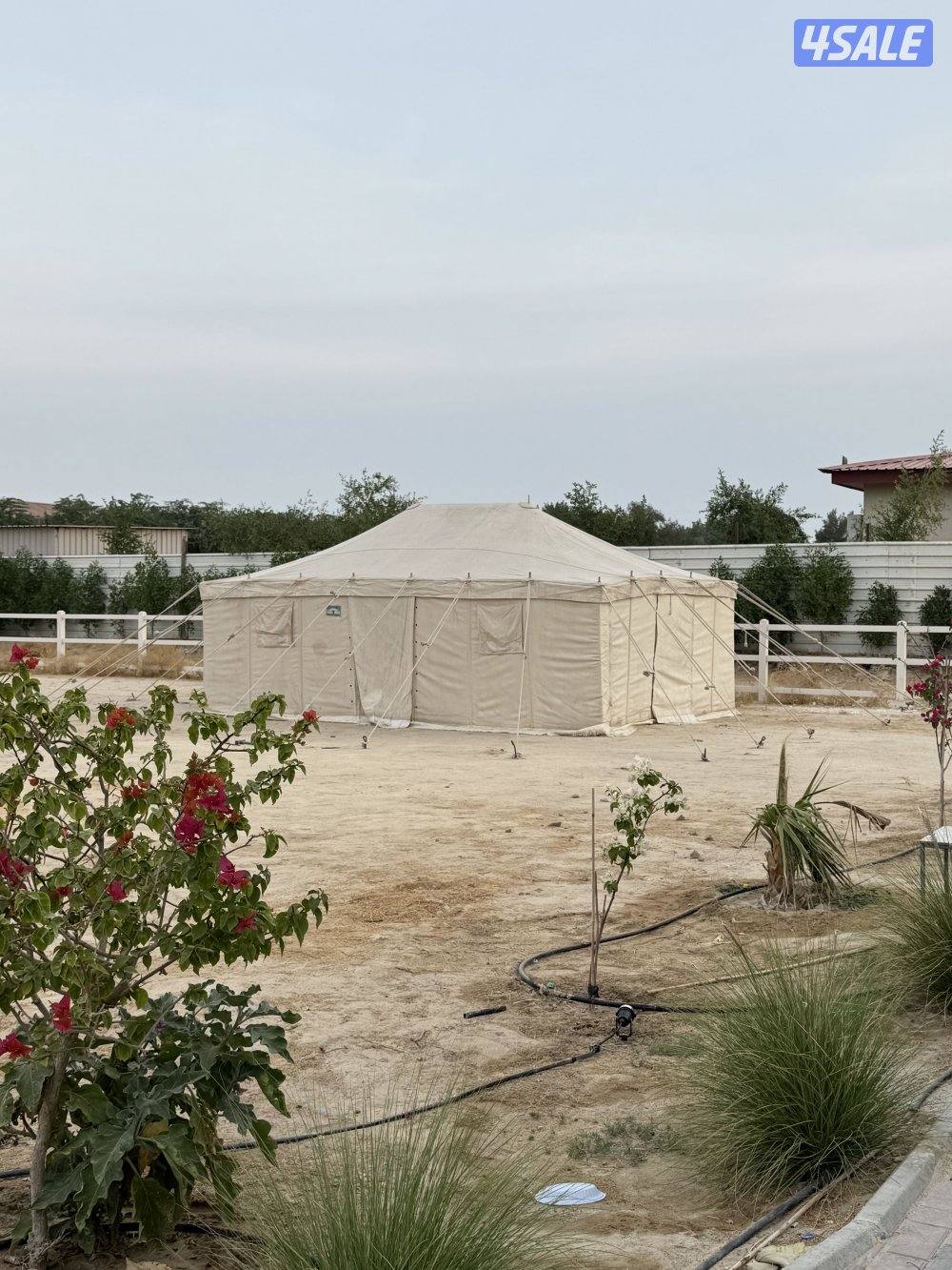 للبيع خيمه الصباح 4/63